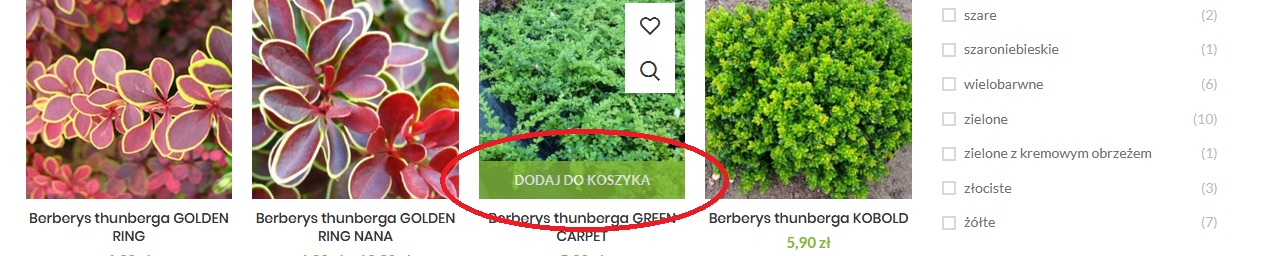 internetowy sklep ogrodniczy