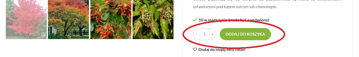 internetowy sklep ogrodniczy